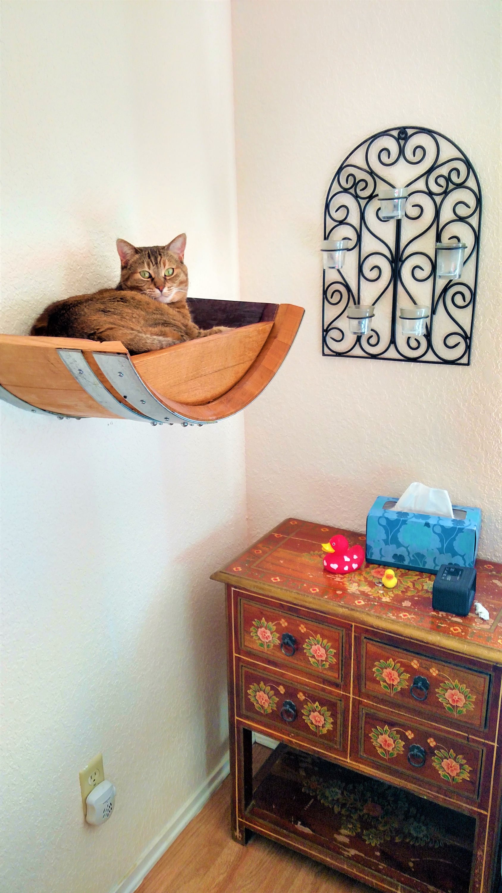 Fashion cat hanging bed