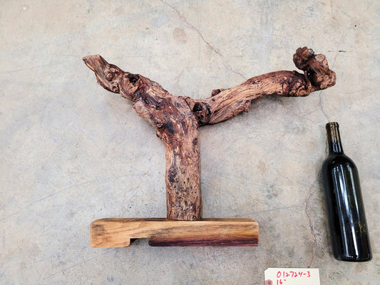 RARE Caymus Grapevine Art made from retired Sonoma Zinfandel vine 100% Reclaimed + Ready to Ship! 012724-3