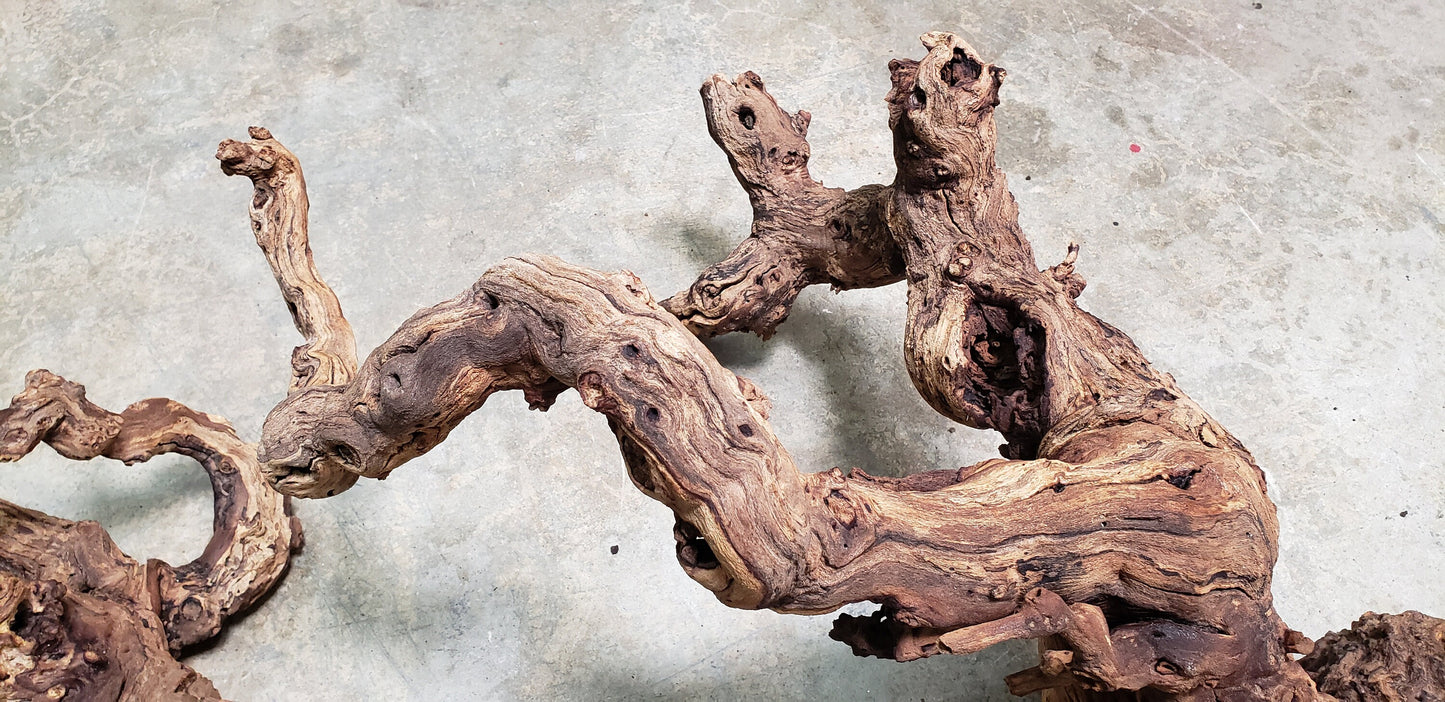 Grape Vine Art From Stags Leap 0680 Retired Napa Petite Sirah grapevine 100% Recycled!
