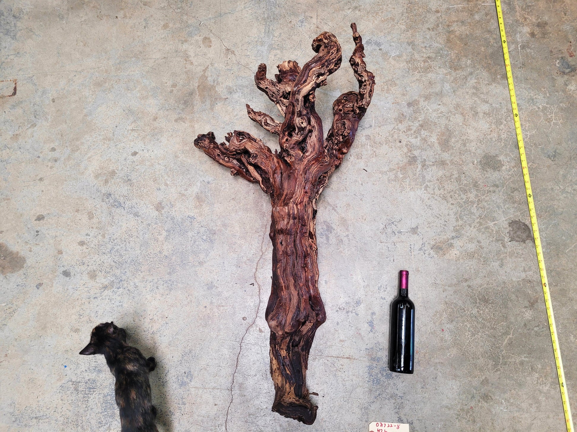 121 Year Old Grape Vine Art From Silver Oak Vineyards retired Napa Zinfandel 100% Recycled + Ready to Ship! 071722-8
