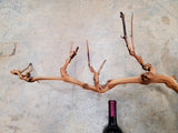 Grape Vine Art From Domaine Carnerous made from retired Napa Pinot Noir grapevine 100% Recycled + Ready to Ship! 101823-4