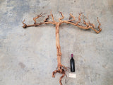 Domaine Carnerous Pinot Noir Grape Vine Art from Napa 100% Recycled + Ready to Ship! 100723-4