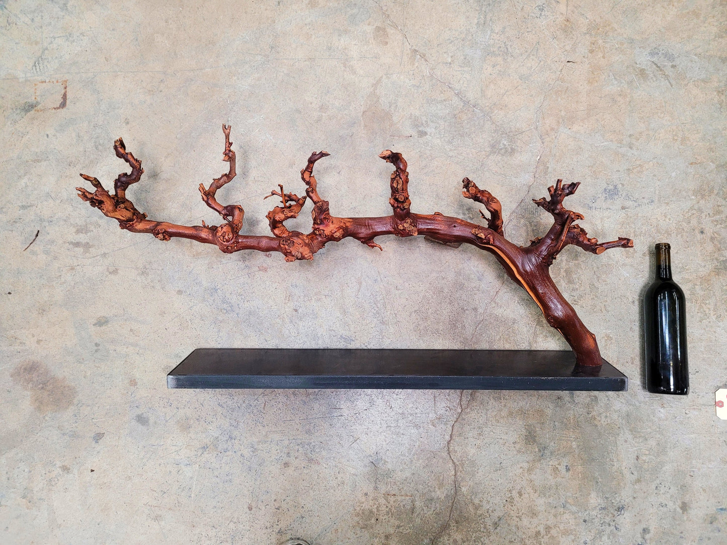 RARE Caymus Grapevine Art made from retired Sonoma Cabernet grapevine 100% Reclaimed + Ready to Ship! 042024-14