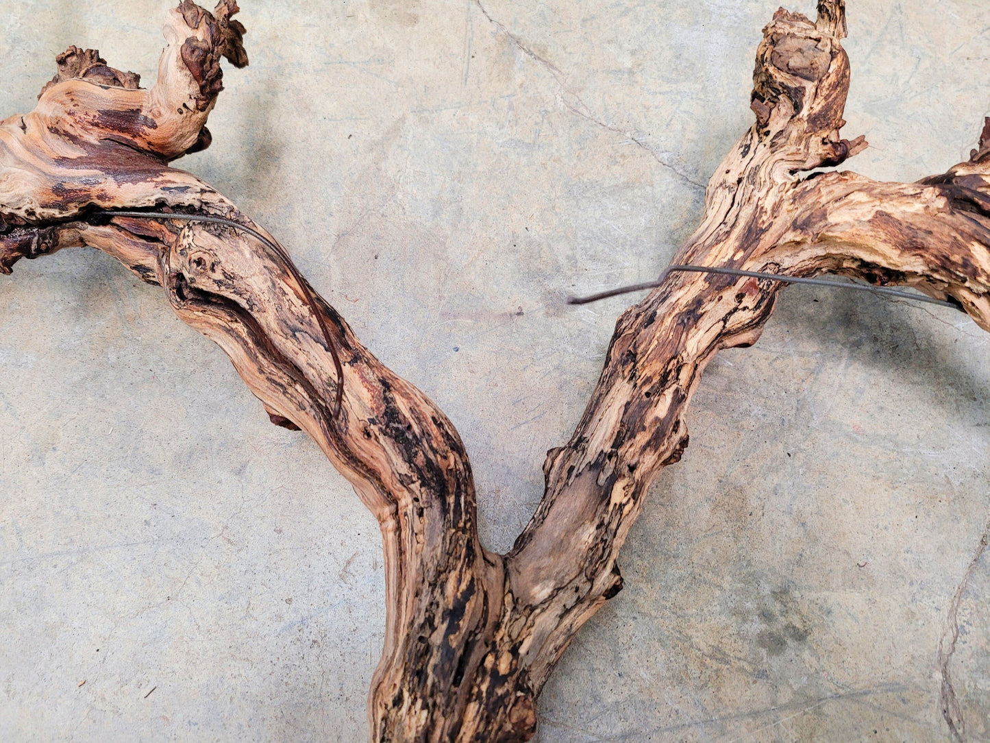 Far Niente RARE Chardonnay Grape Vine Art made from retired California Grapevine 100% Reclaimed + Ready to Ship!! 042024-2