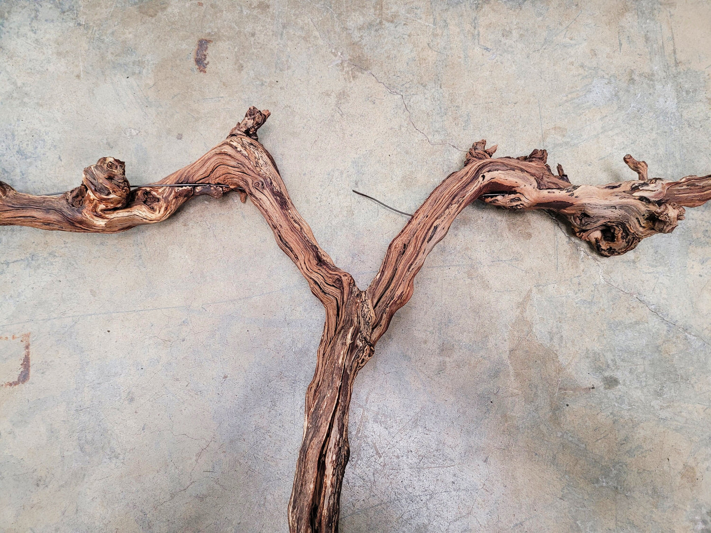 Rombauer Cabernet Grape Vine Art from Napa 100% Recycled + Ready to Ship! 042024-3