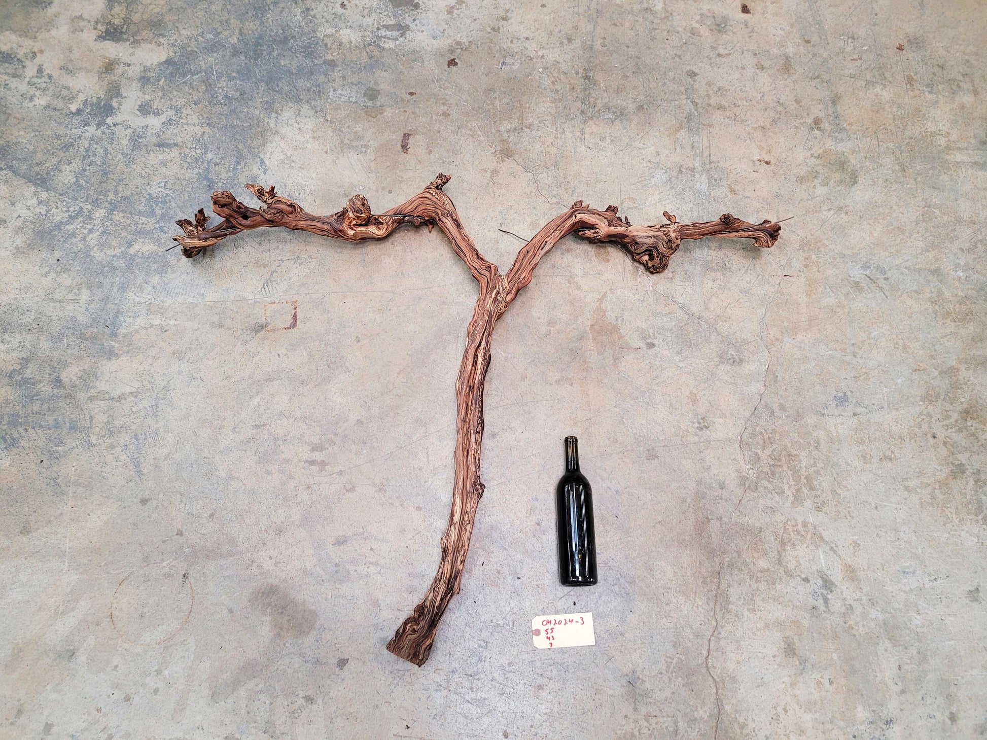 Rombauer Cabernet Grape Vine Art from Napa 100% Recycled + Ready to Ship! 042024-3