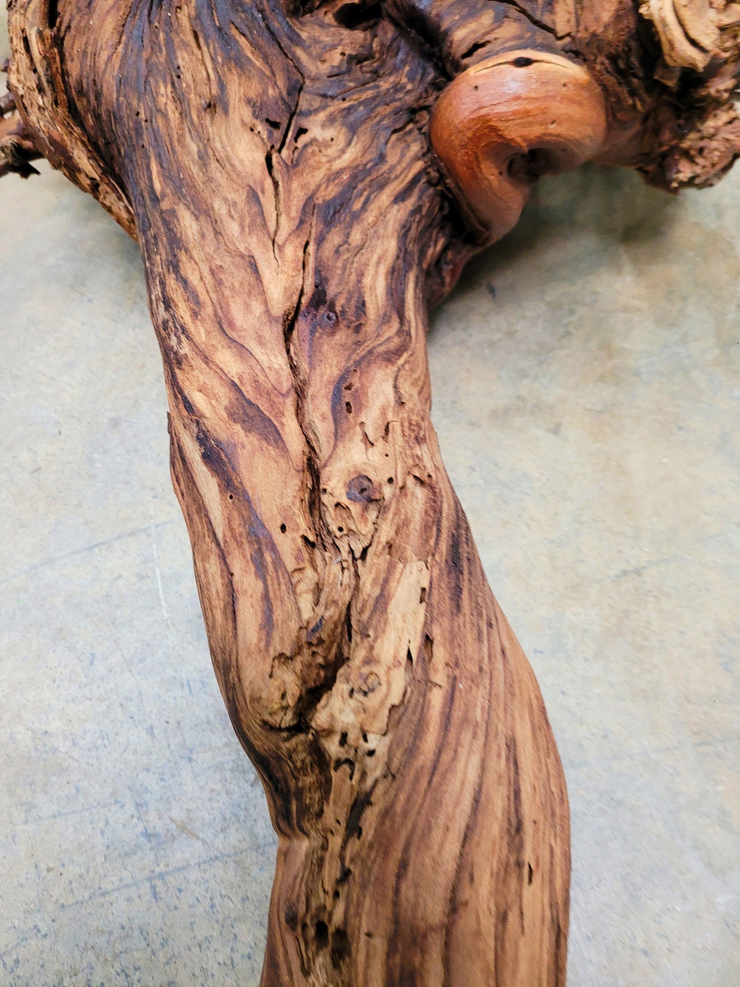 RARE Justin Winery Cabernet Grapevine Vine Art planted by Justin himself 100% Reclaimed + Ready to Ship!! 042024-6