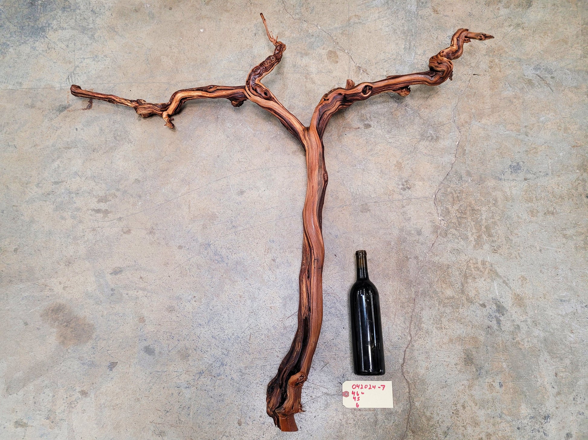 Duckhorn Cabernet Grape Vine Art From Napa 100% Recycled + Ready to Ship! 042024-7