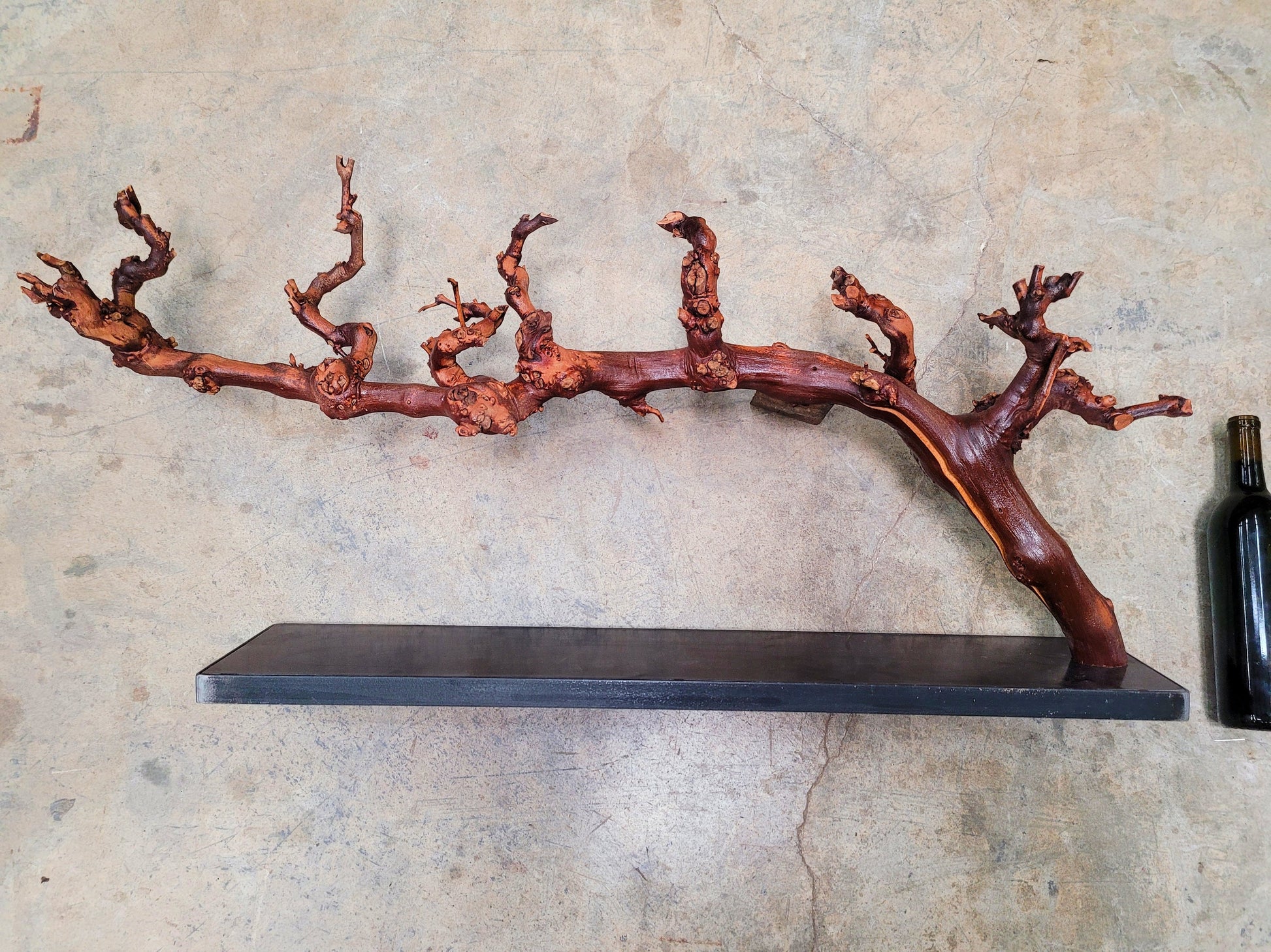 RARE Caymus Grapevine Art made from retired Sonoma Cabernet grapevine 100% Reclaimed + Ready to Ship! 042024-14