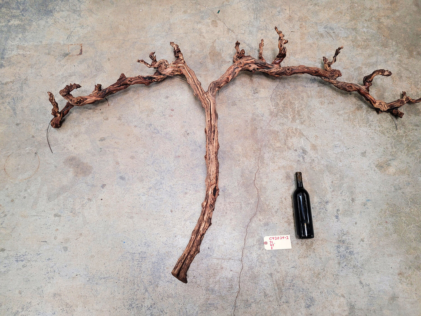 Far Niente RARE Chardonnay Grape Vine Art made from retired California Grapevine 100% Reclaimed + Ready to Ship!! 042024-2