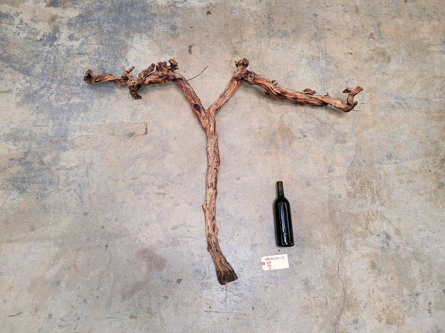 Rombauer Cabernet Grape Vine Art from Napa 100% Recycled + Ready to Ship! 042024-3