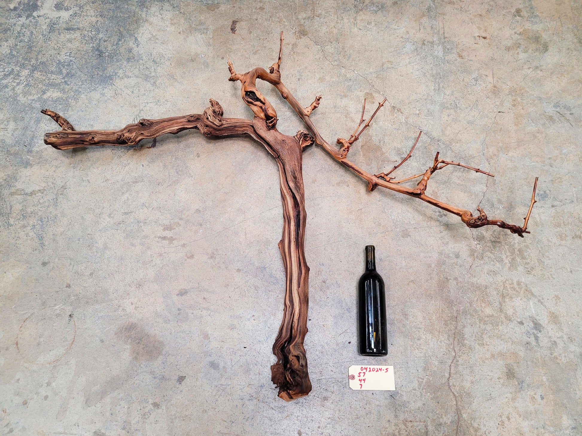 J Lohr Winery Cabernet Grape Vine Art 100% Recycled + Ready to Ship! 042014-5