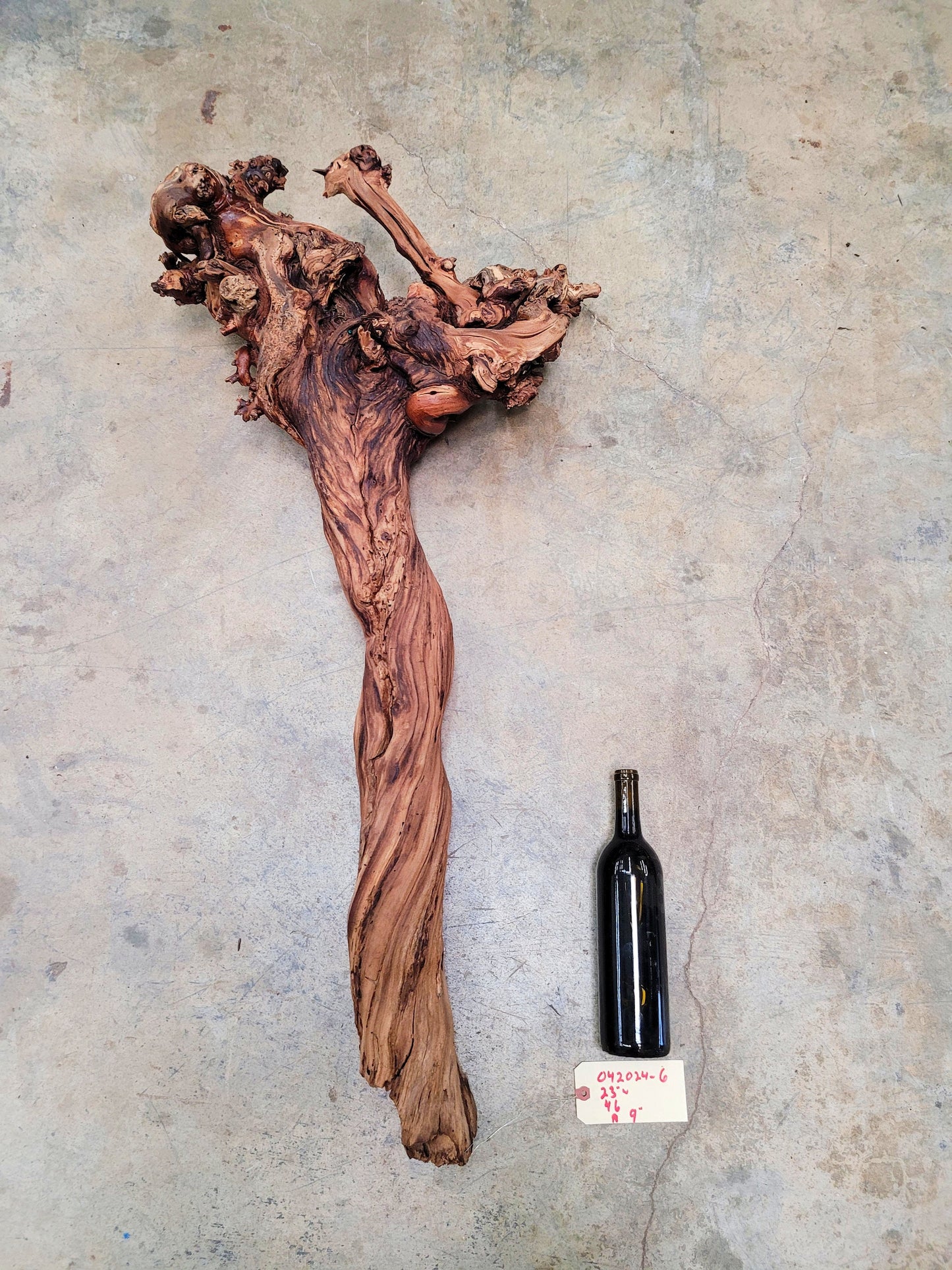 RARE Justin Winery Cabernet Grapevine Vine Art planted by Justin himself 100% Reclaimed + Ready to Ship!! 042024-6