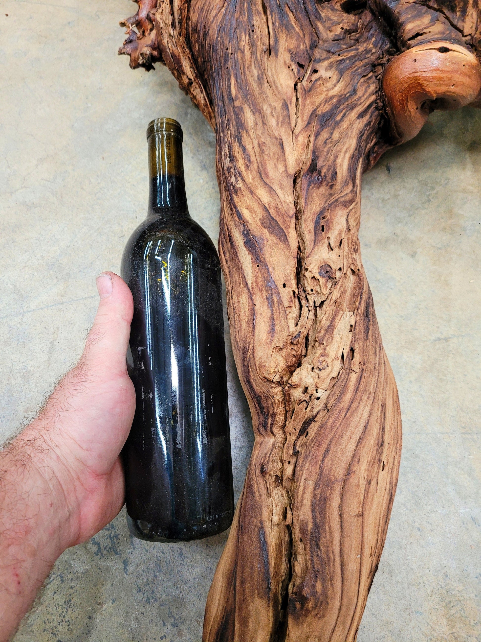 RARE Justin Winery Cabernet Grapevine Vine Art planted by Justin himself 100% Reclaimed + Ready to Ship!! 042024-6