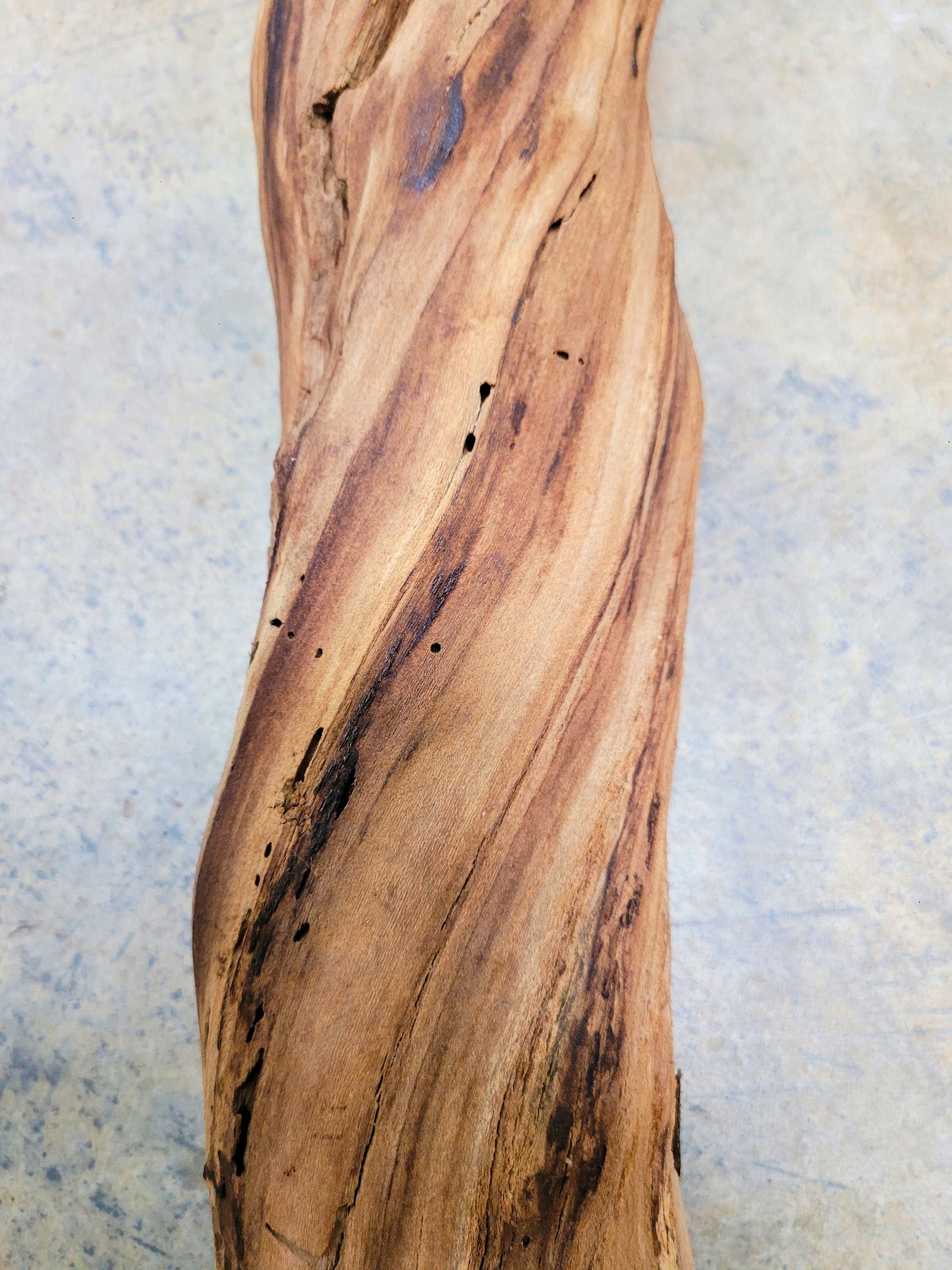 RARE Justin Winery Cabernet Grapevine Vine Art planted by Justin himself 100% Reclaimed + Ready to Ship!! 042024-6