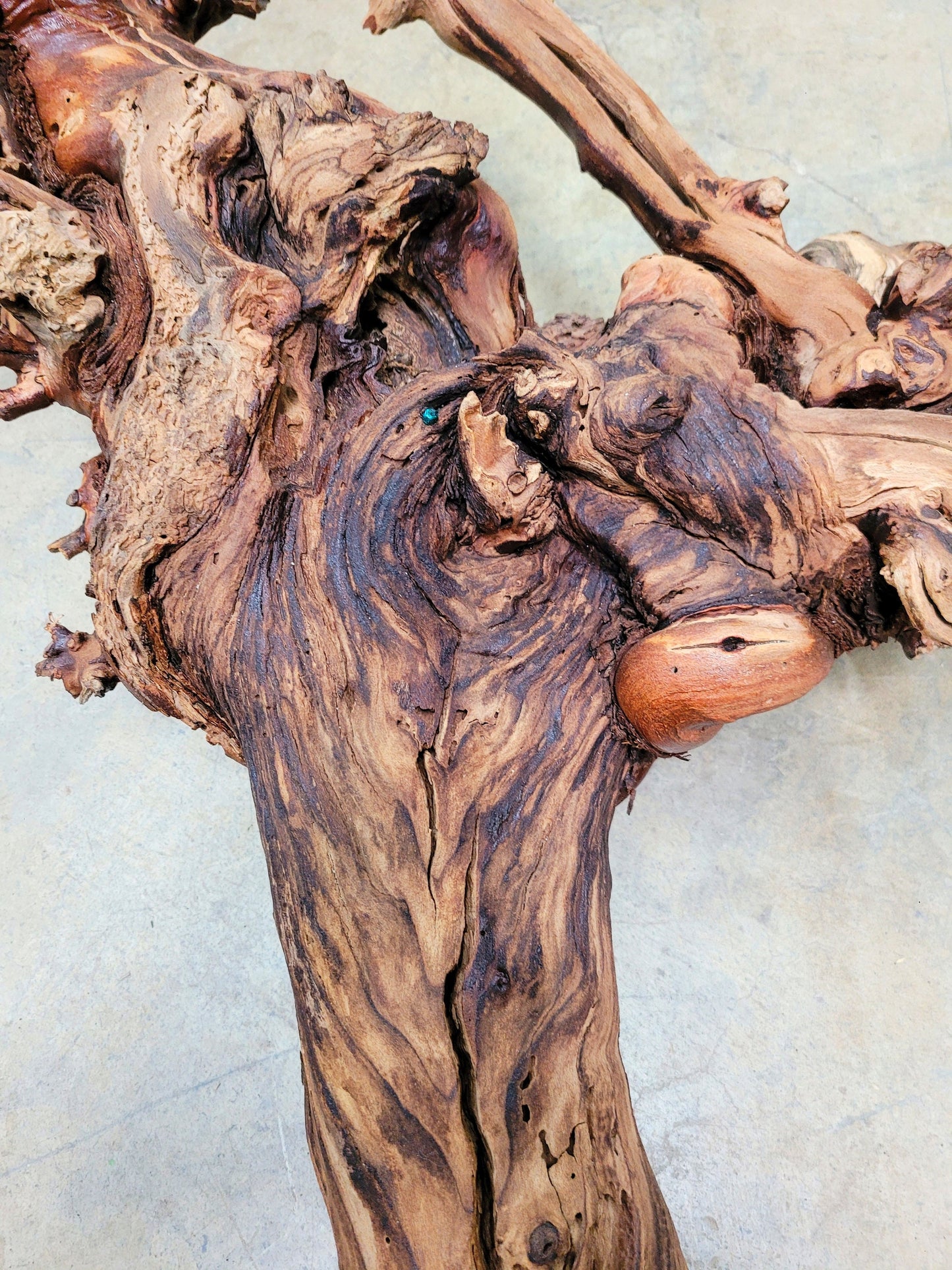 RARE Justin Winery Cabernet Grapevine Vine Art planted by Justin himself 100% Reclaimed + Ready to Ship!! 042024-6