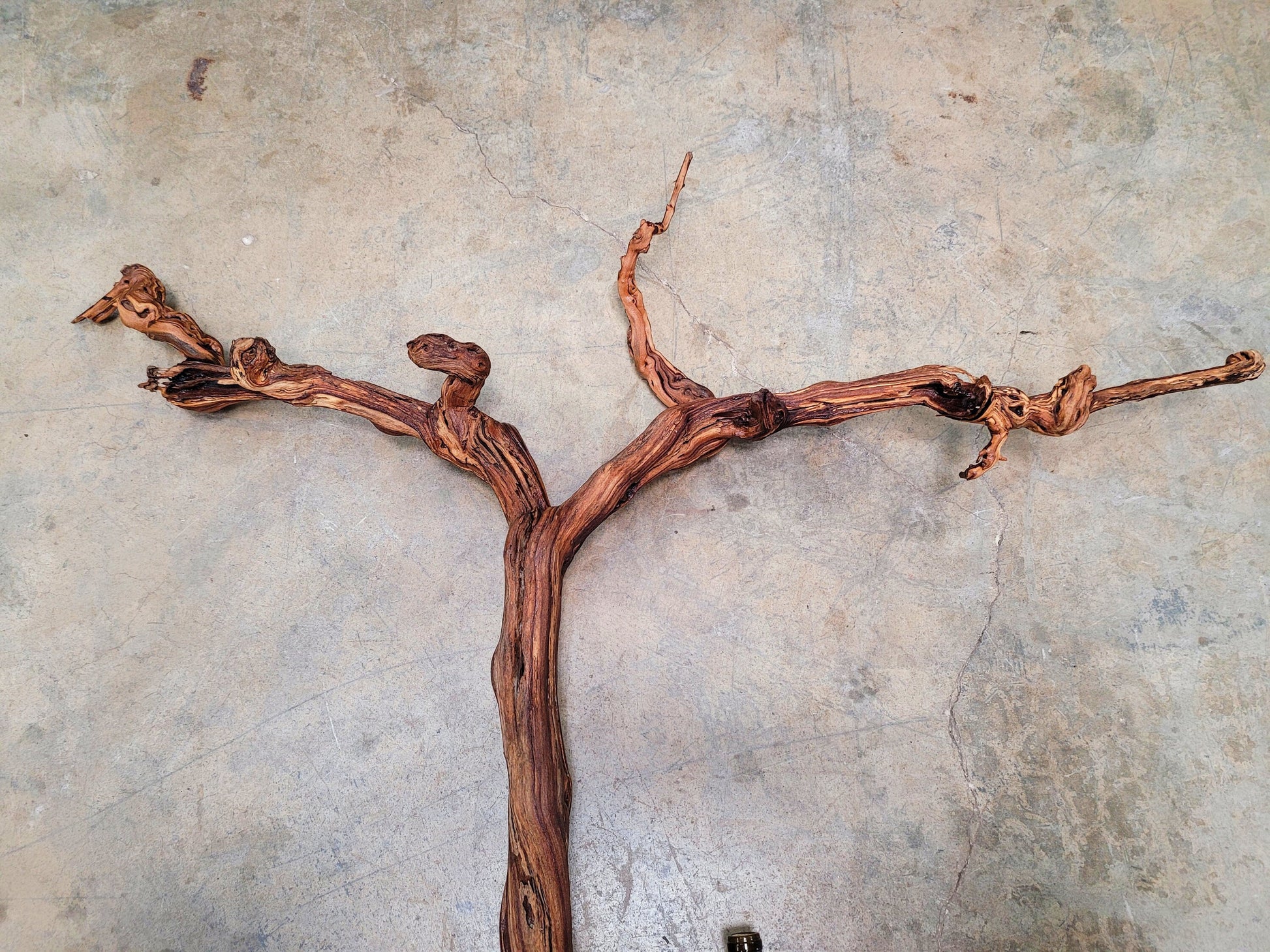 Duckhorn Cabernet Grape Vine Art From Napa 100% Recycled + Ready to Ship! 042024-7