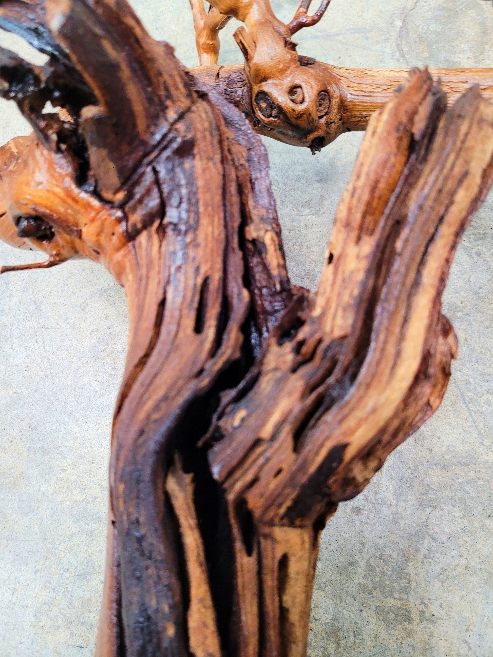 RARE Caymus Grapevine Art made from retired Sonoma Zinfandel vine 100% Reclaimed + Ready to Ship! 042724-1