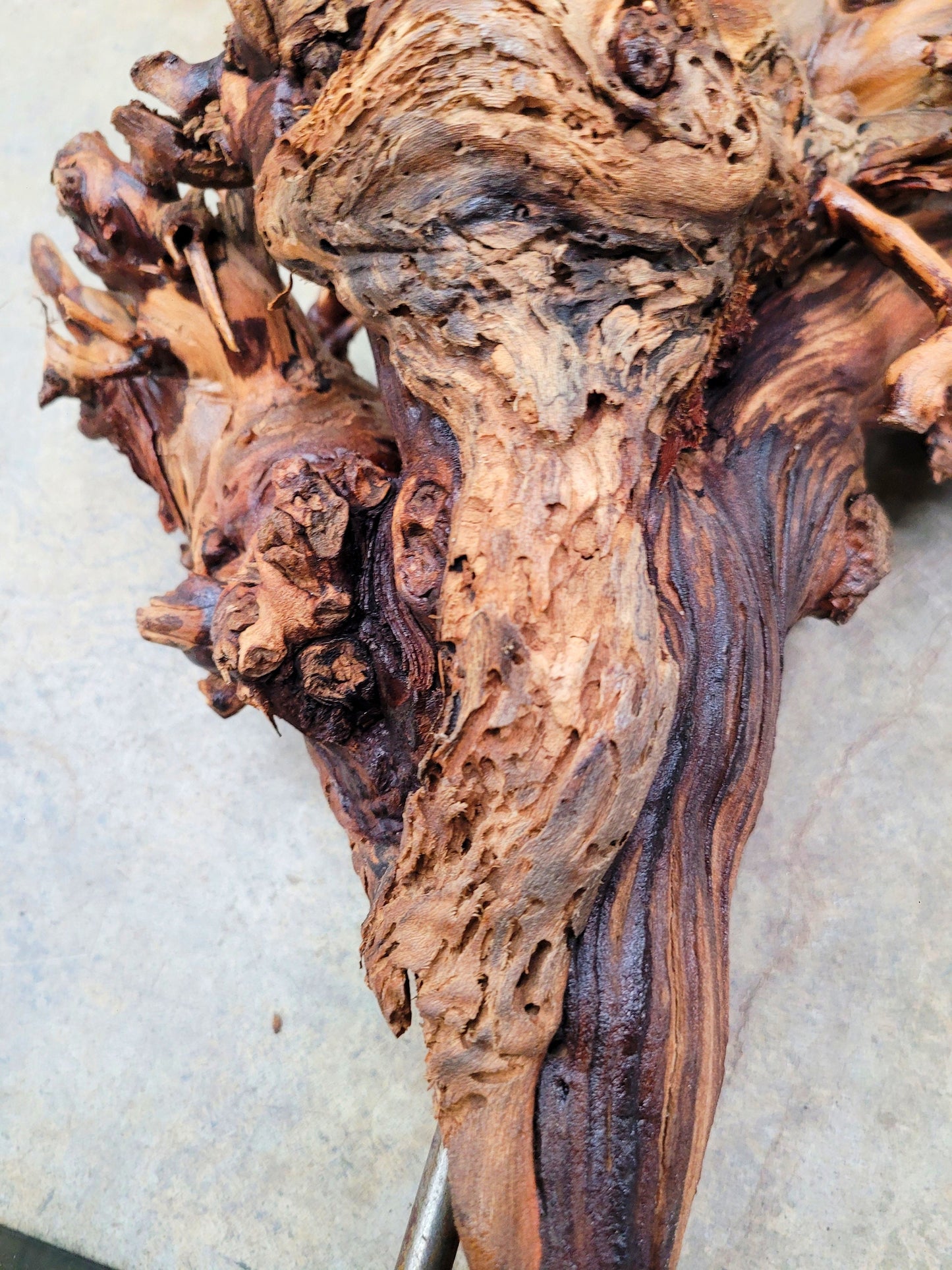 RARE Justin Winery Cabernet Grapevine Vine Art planted by Justin himself 100% Recycled 042724-11