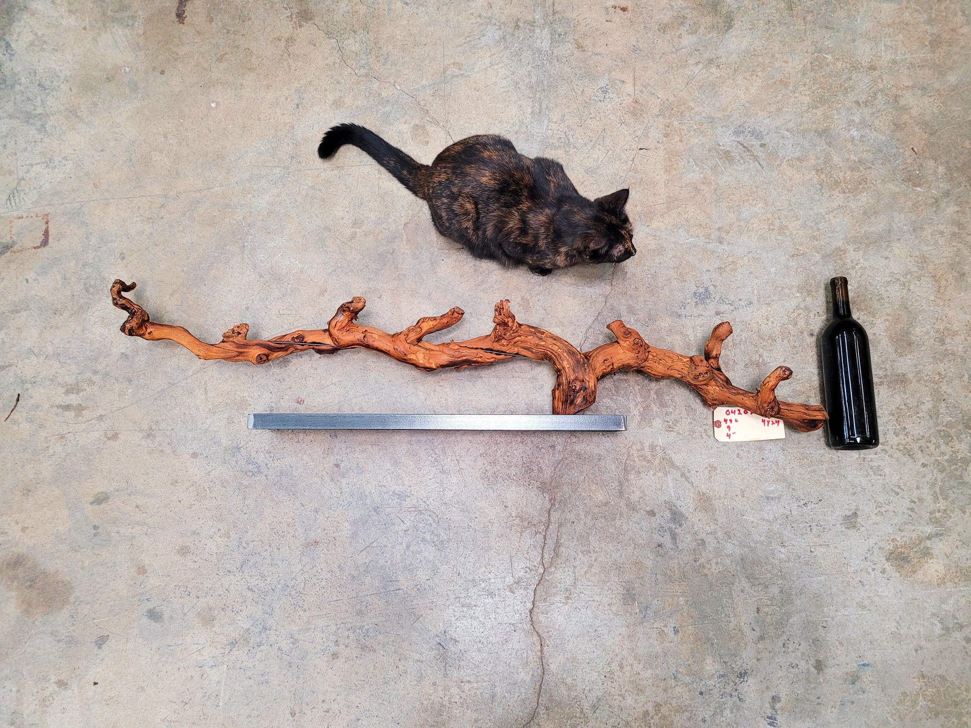 RARE Caymus Grapevine Art made from retired Sonoma Cabernet grapevine 100% Reclaimed + Ready to Ship! 042024-18