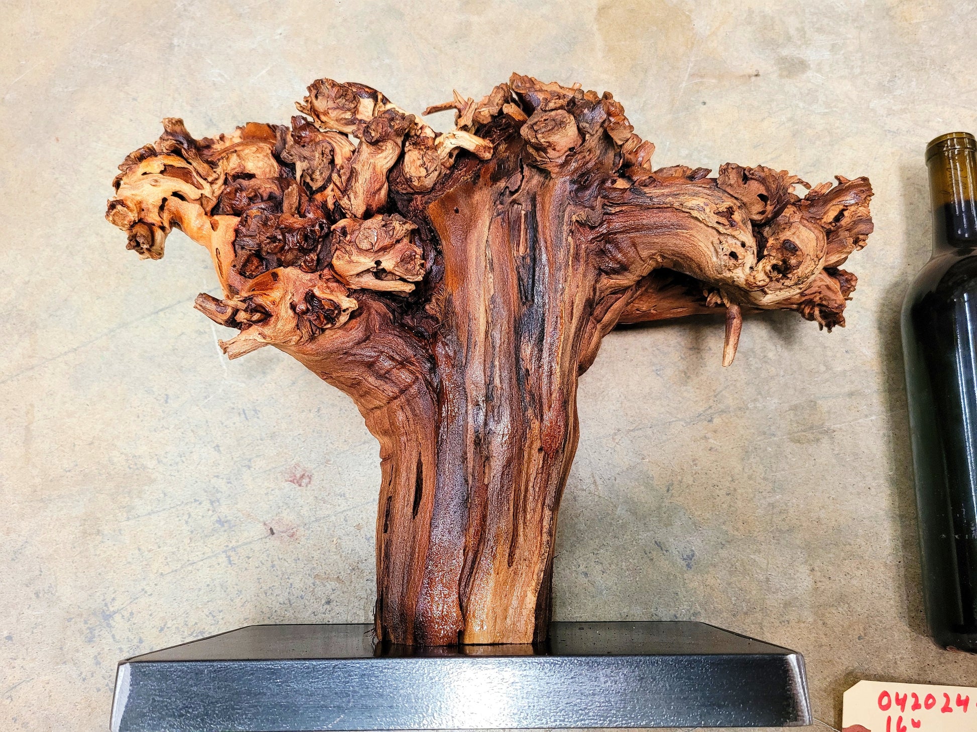 RARE Justin Winery Cabernet Grapevine Vine Art planted by Justin himself 100% Recycled 022024-21