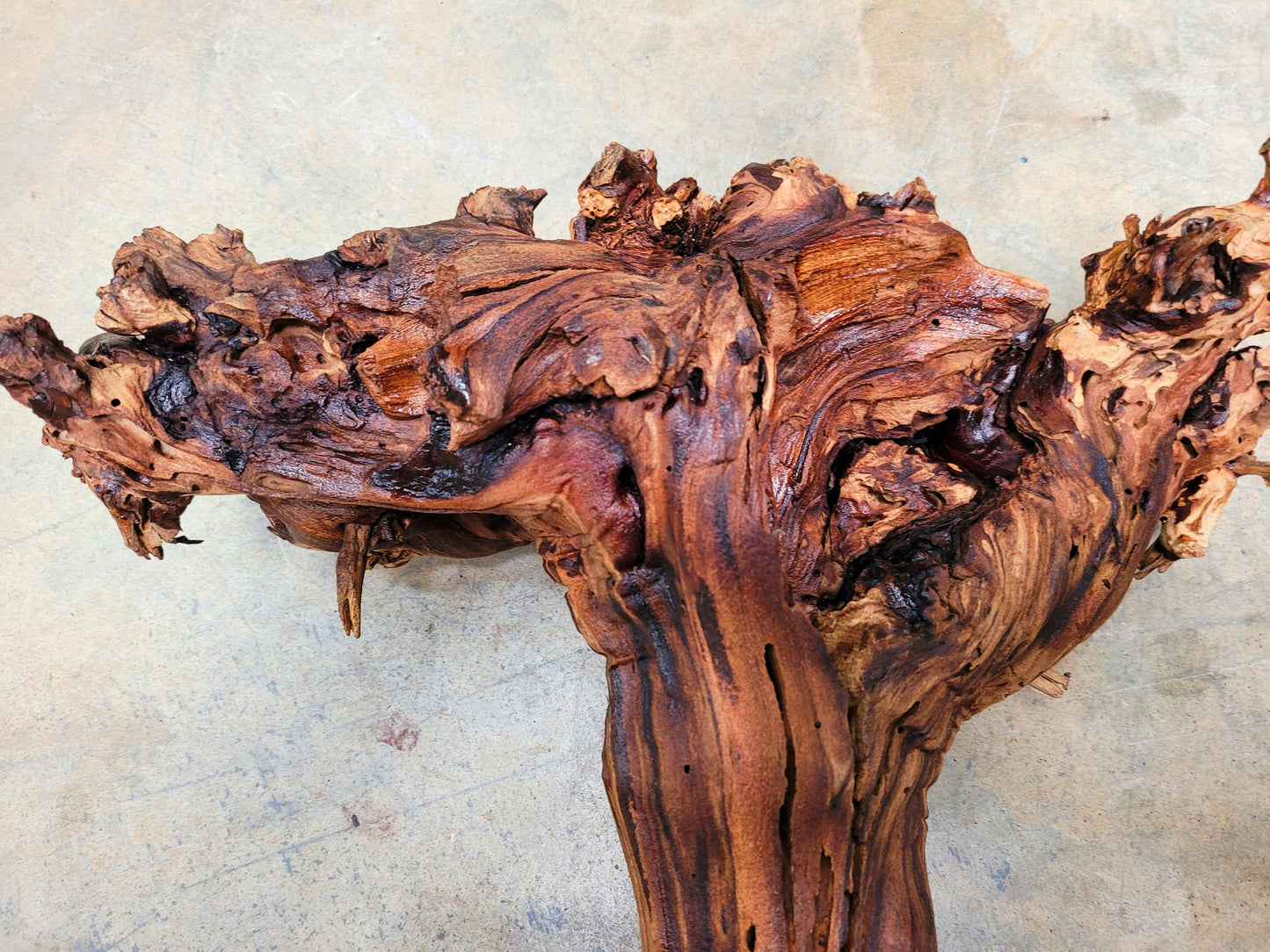 RARE Justin Winery Cabernet Grapevine Vine Art planted by Justin himself 100% Recycled 022024-21