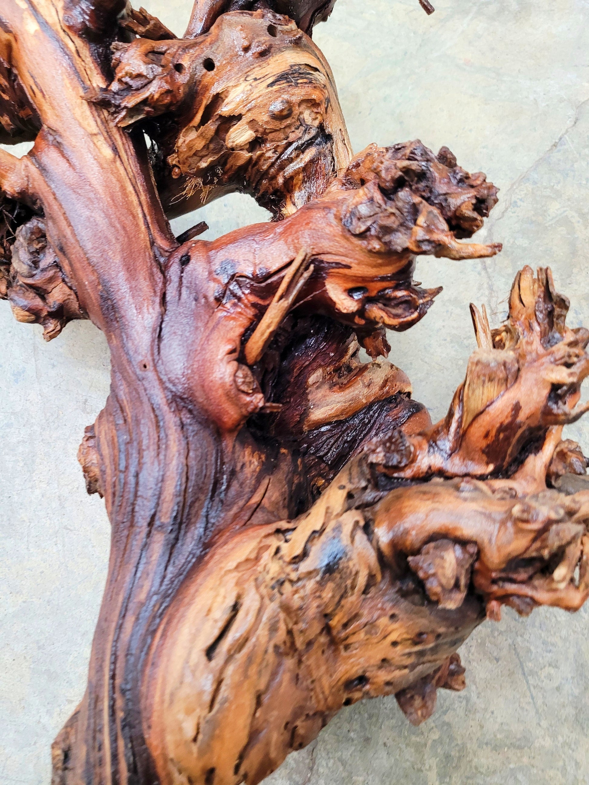 RARE Justin Winery Cabernet Grapevine Vine Art planted by Justin himself 100% Recycled 042724-11