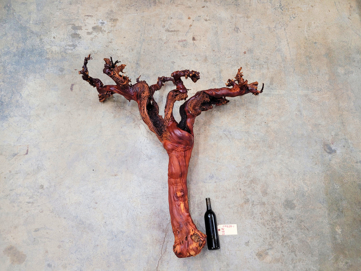 Domaine Carneros Grape Vine Art From made from retired Napa Pinot Noir grapevine 100% Recycled + Ready to Ship! 041624-1