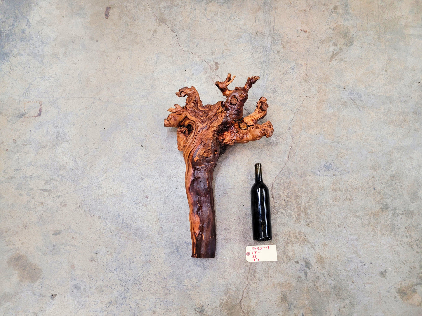 RARE Caymus Grapevine Art made from retired Sonoma Zinfandel vine 100% Reclaimed + Ready to Ship! 041624-3