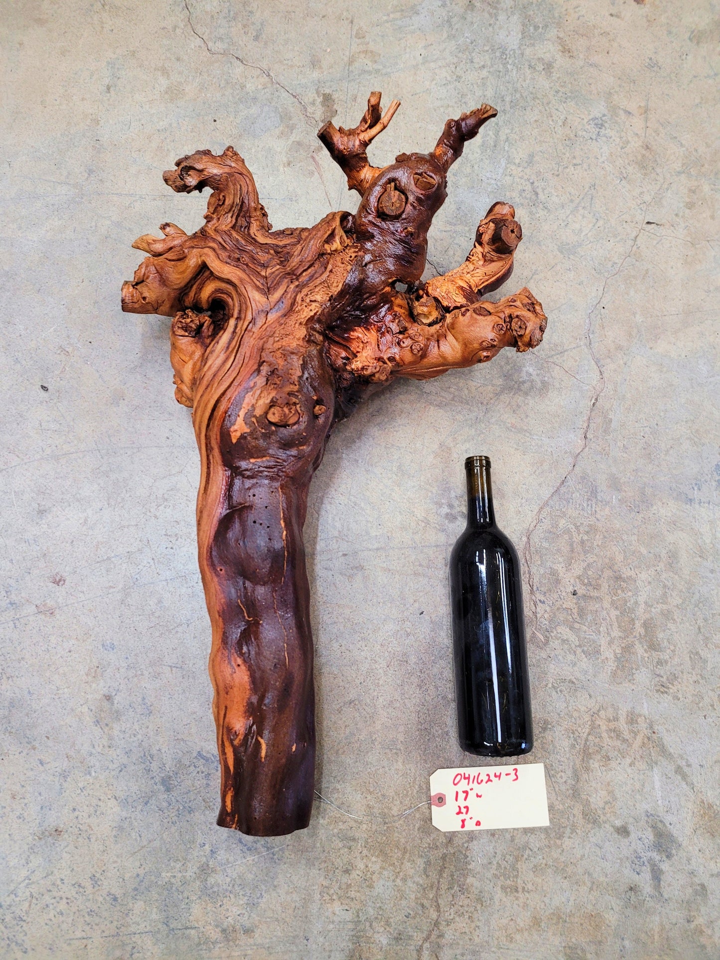 RARE Caymus Grapevine Art made from retired Sonoma Zinfandel vine 100% Reclaimed + Ready to Ship! 041624-3