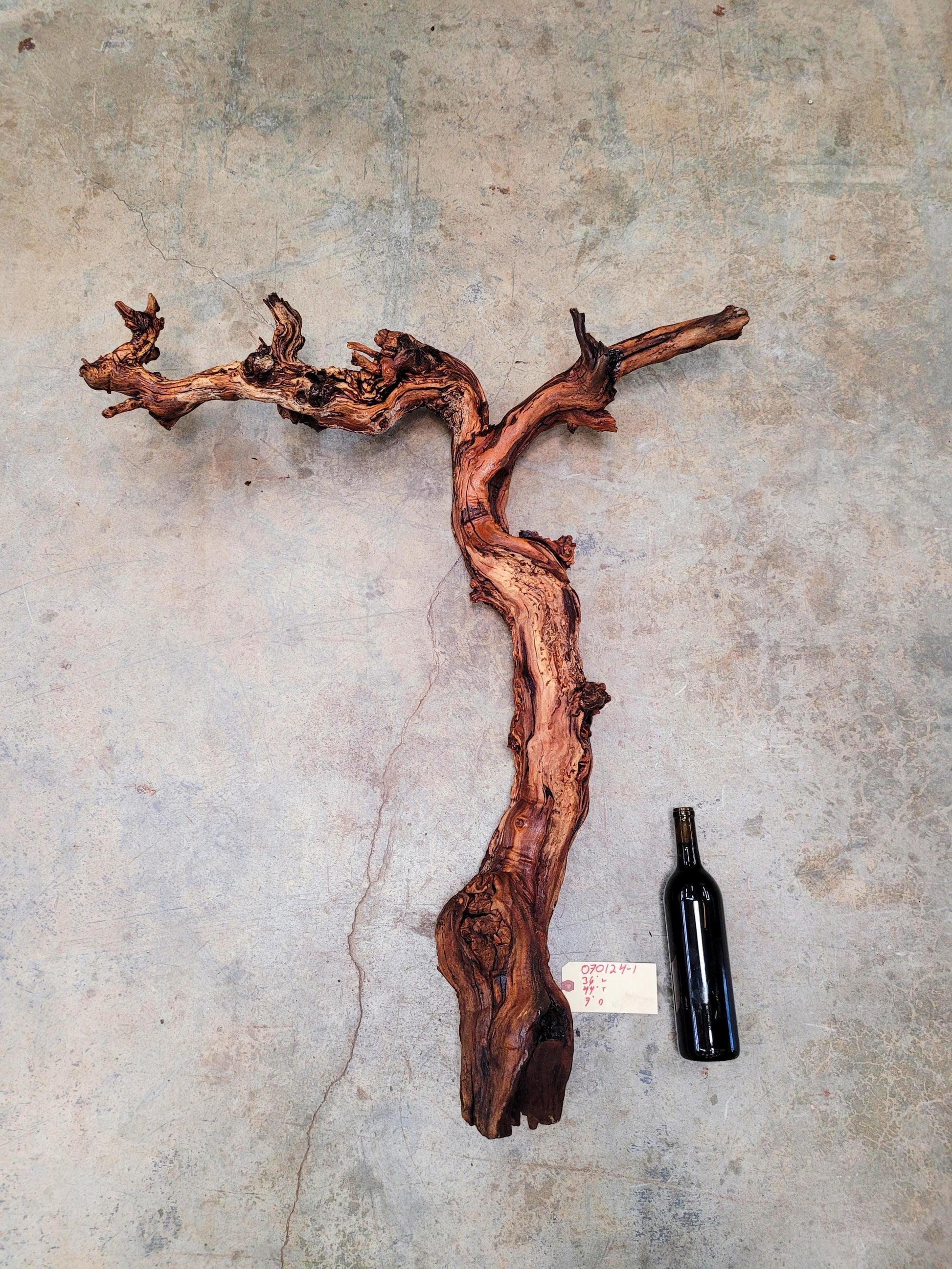 Saxum Broken Stones Petite Sirah Grape Vine Art from Paso Robles- 100% Recycled + Ready to Ship!! 070124-1