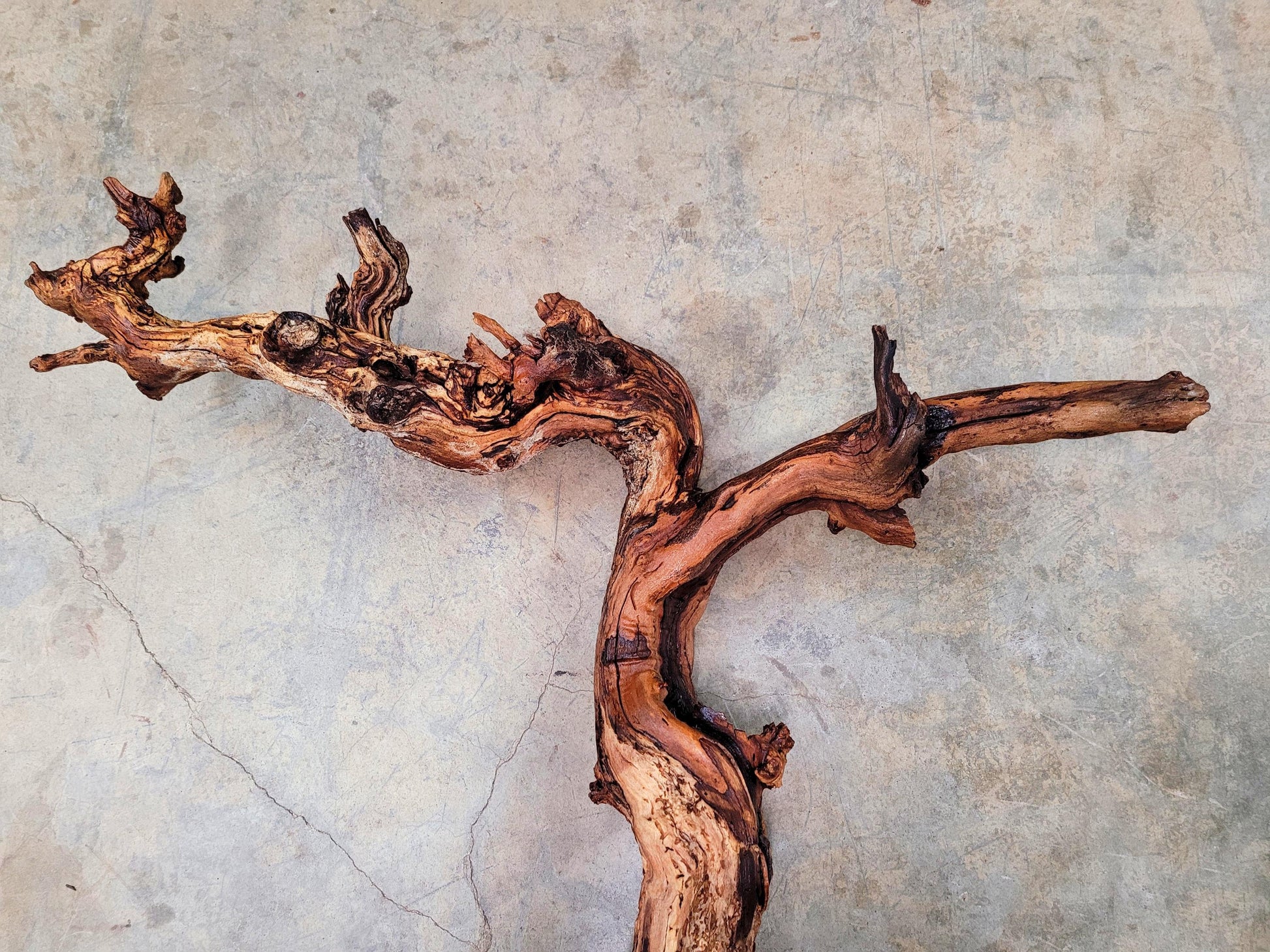 Saxum Broken Stones Petite Sirah Grape Vine Art from Paso Robles- 100% Recycled + Ready to Ship!! 070124-1