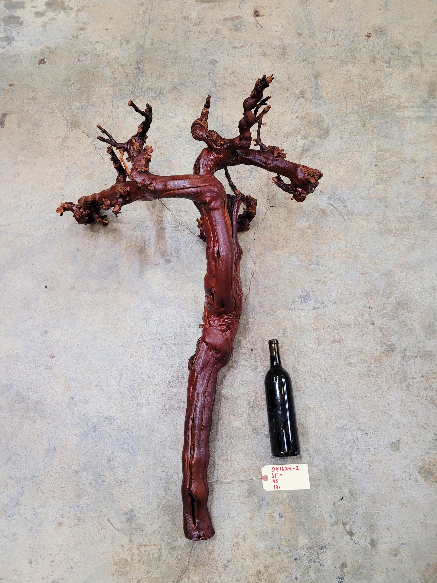 Domaine Carneros Grape Vine Art From made from retired Napa Pinot Noir grapevine 100% Recycled + Ready to Ship! 041624-2