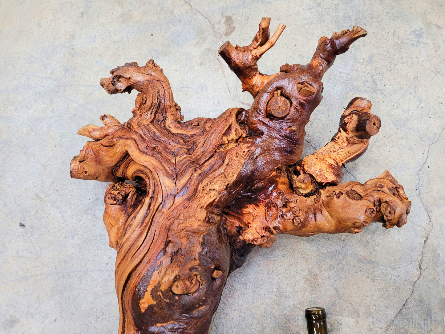 RARE Caymus Grapevine Art made from retired Sonoma Zinfandel vine 100% Reclaimed + Ready to Ship! 041624-3