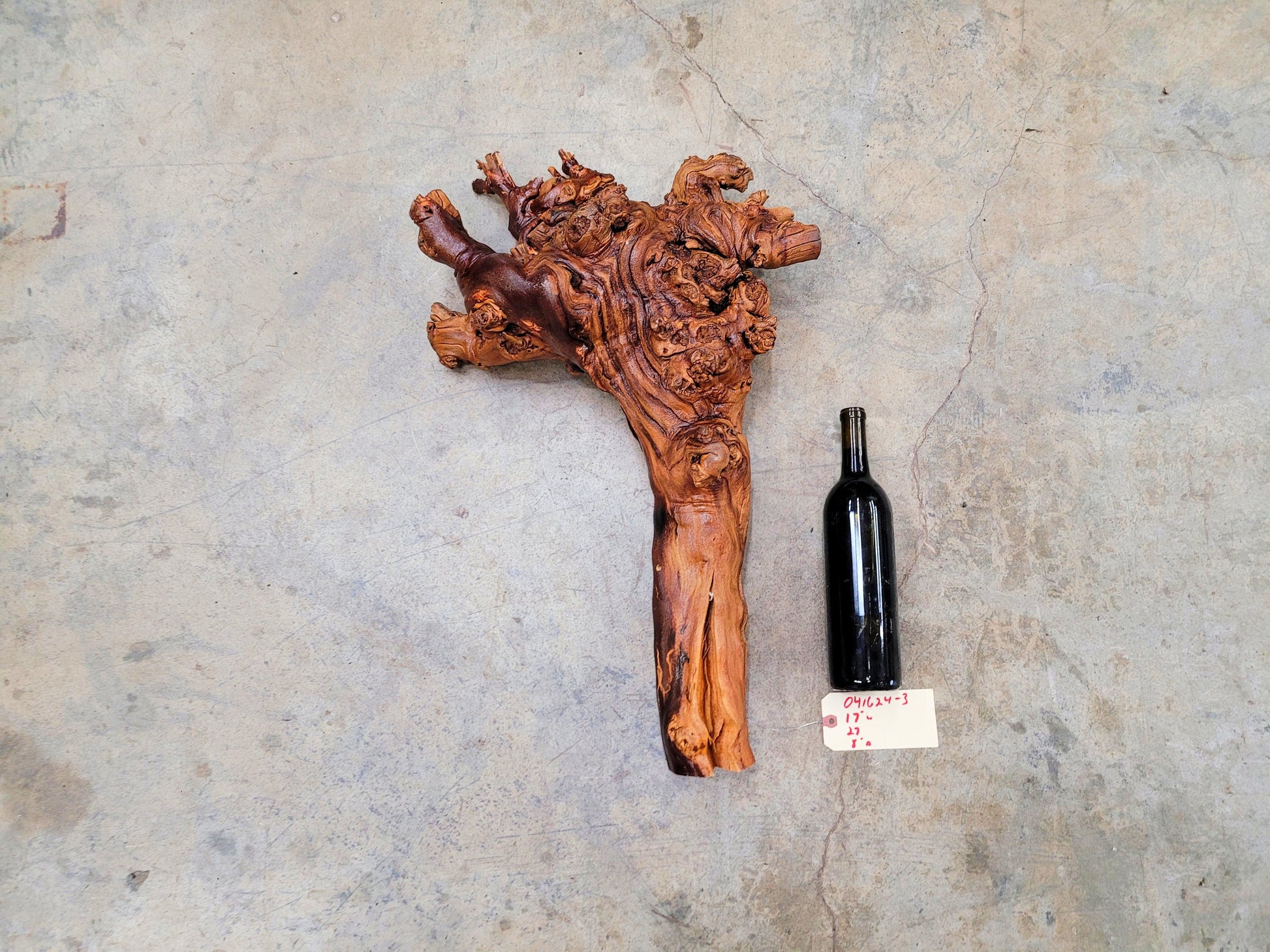 RARE Caymus Grapevine Art made from retired Sonoma Zinfandel vine 100% Reclaimed + Ready to Ship! 041624-3