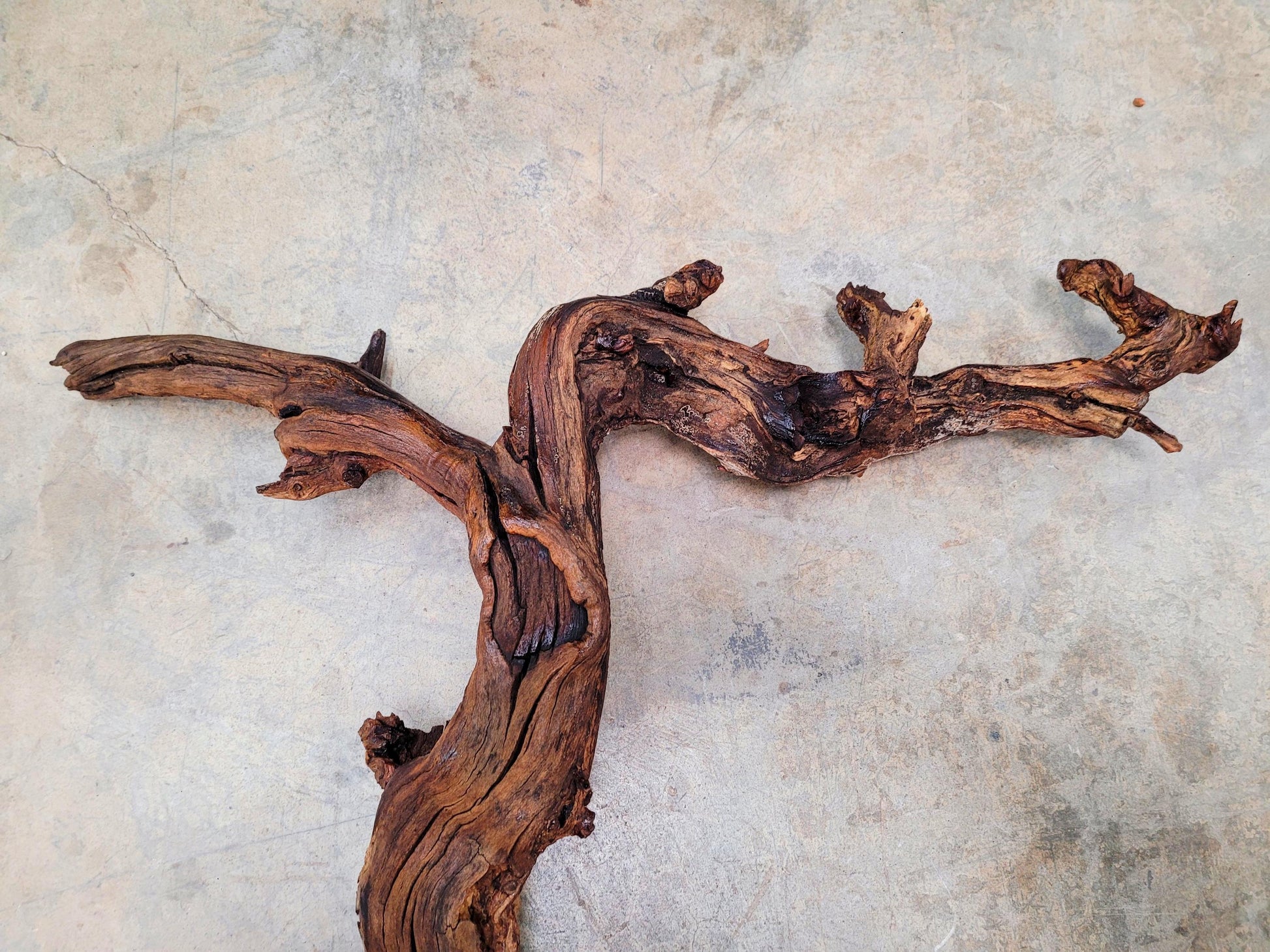 Saxum Broken Stones Petite Sirah Grape Vine Art from Paso Robles- 100% Recycled + Ready to Ship!! 070124-1