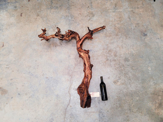 Saxum Broken Stones Petite Sirah Grape Vine Art from Paso Robles- 100% Recycled + Ready to Ship!! 070124-1