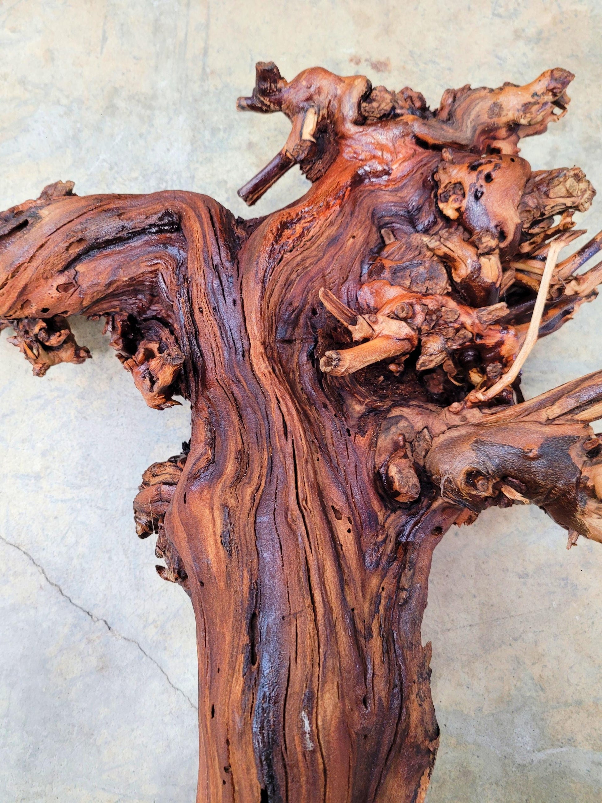 RARE Justin Winery Cabernet Grapevine Vine Art planted by Justin himself 100% Reclaimed + Ready to Ship!! 070224-2