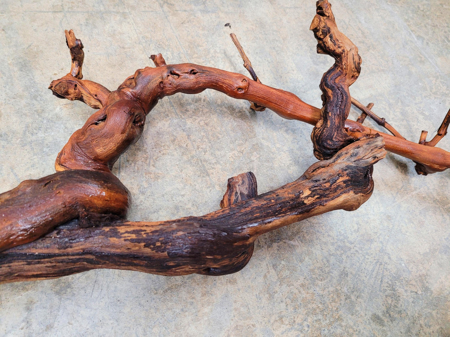 Rombauer Cabernet Grape Vine Art from Napa 100% Recycled + Ready to Ship! 071324-1