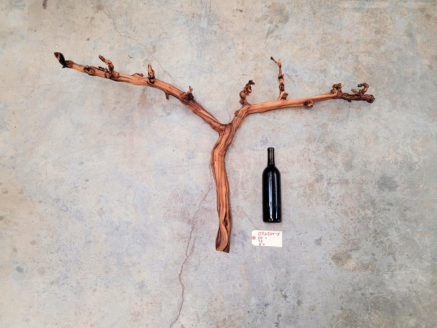 Fess Parker Bien Nacido Pinot Noir Grape Vine Art from Santa Barbara 100% Recycled + Ready to Ship! 072524-5