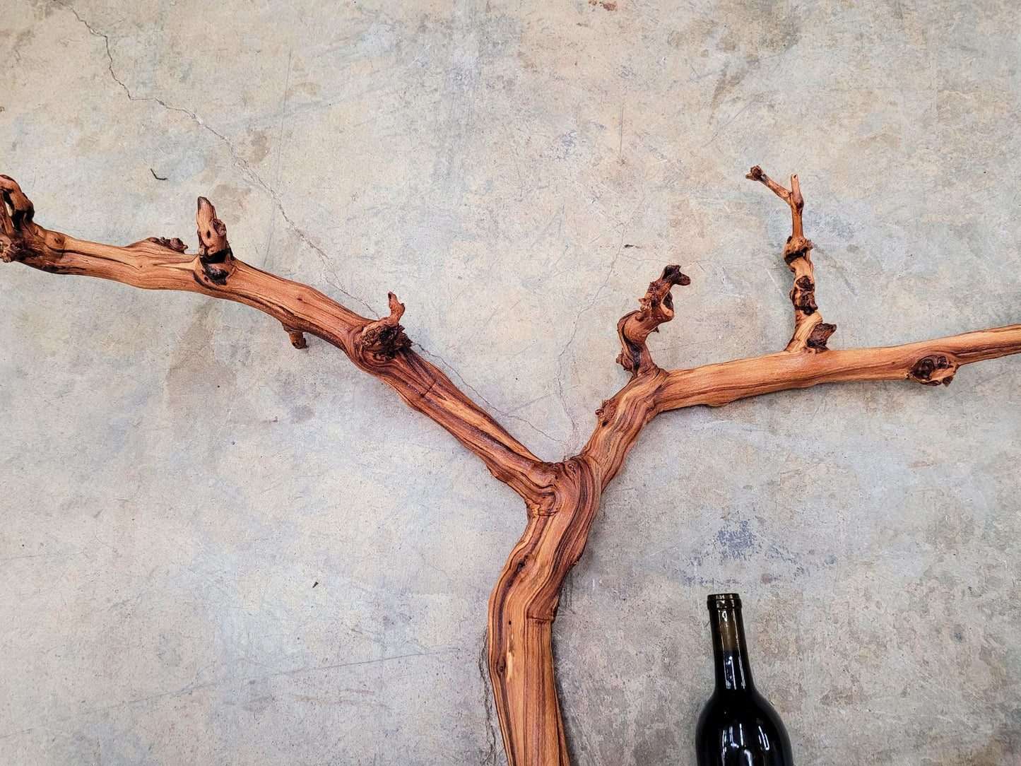 Fess Parker Bien Nacido Pinot Noir Grape Vine Art from Santa Barbara 100% Recycled + Ready to Ship! 072524-5