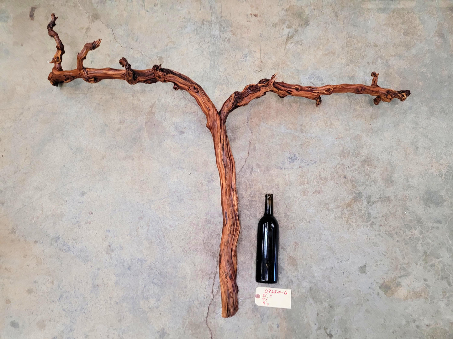 Fess Parker Bien Nacido Pinot Noir Grape Vine Art from Santa Barbara 100% Recycled + Ready to Ship! 072524-6