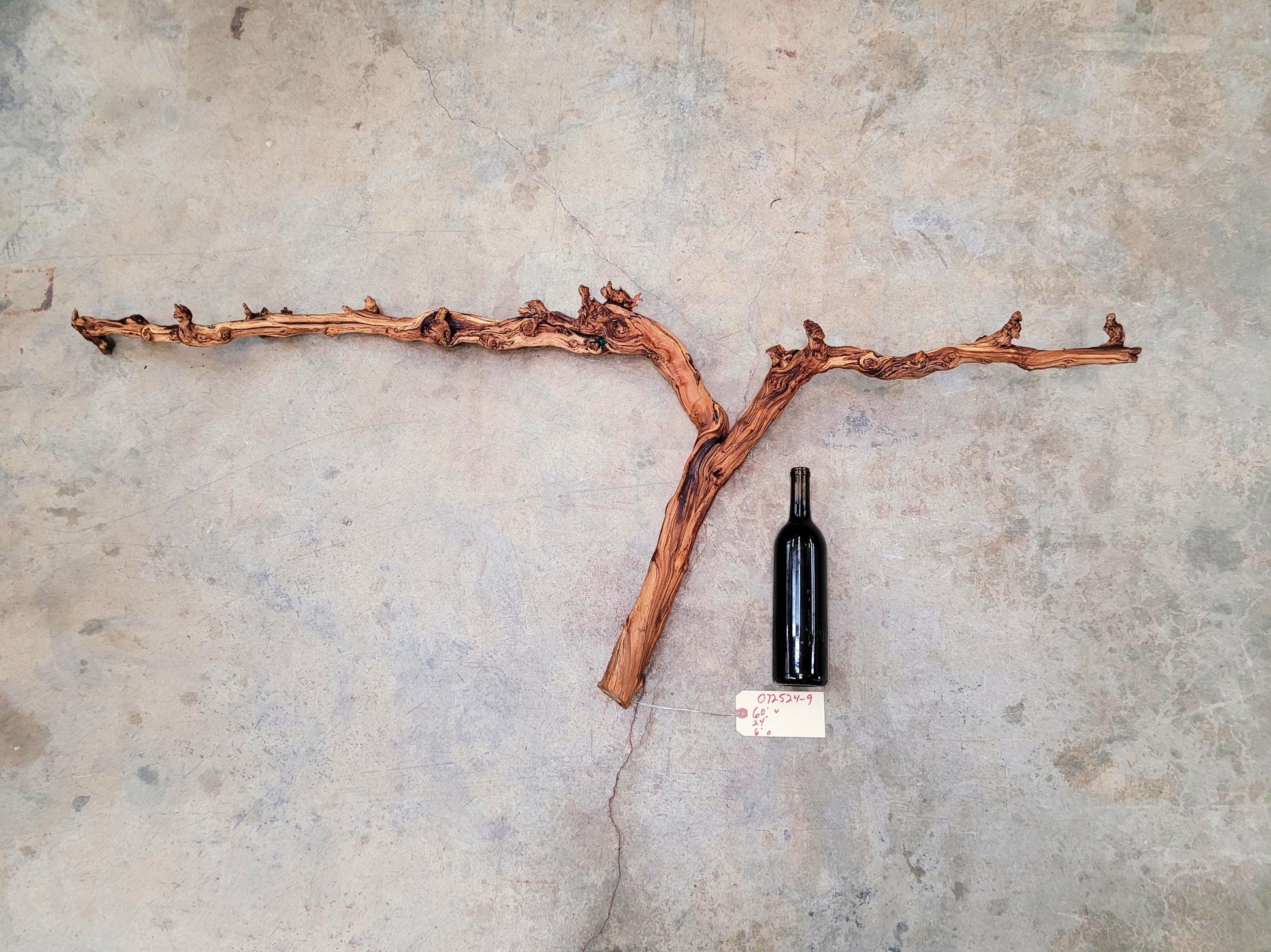 Sanford Pinot Noir Grape Vine Art from Santa Barbara 100% Recycled + Ready to Ship! 072524-9