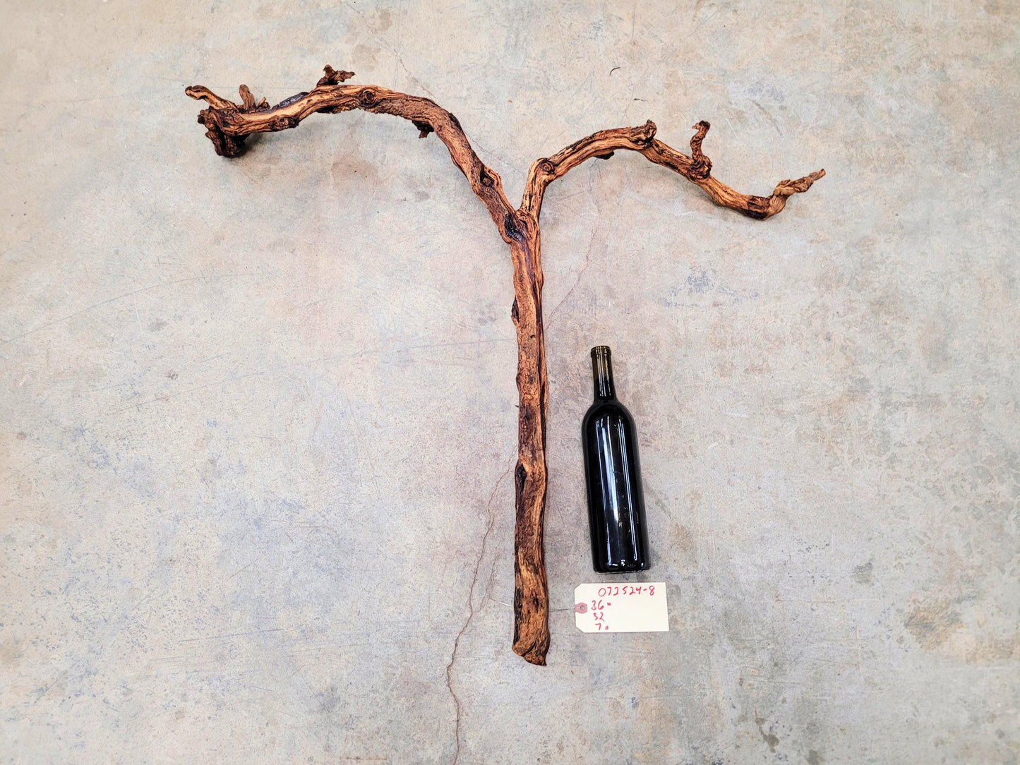 J Lohr Winery retired Cabernet Grape Vine Art - 100% Reclaimed + Ready to Ship! 072524-8