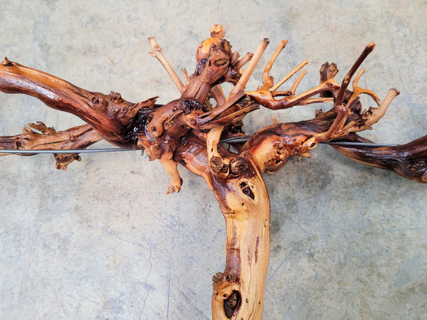 RARE Cakebread Winery Chardonnay Grapevine Vine Art - 100% Recycled + Ready to Ship! 072524-12