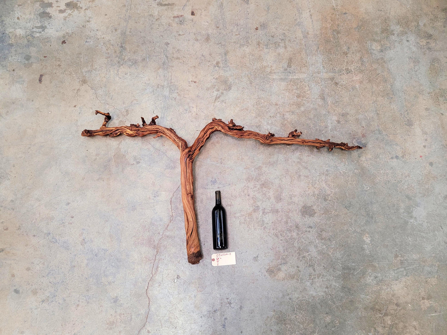 J Lohr Winery retired Cabernet Grape Vine Art - 100% Reclaimed + Ready to Ship! 072524-13