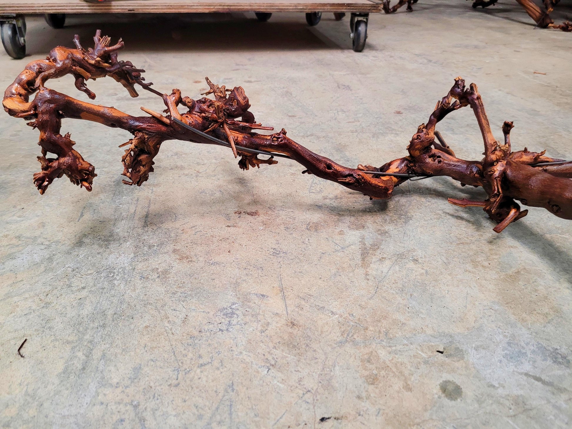 RARE Cakebread Winery Chardonnay Grapevine Vine Art - 100% Recycled + Ready to Ship! 072524-15