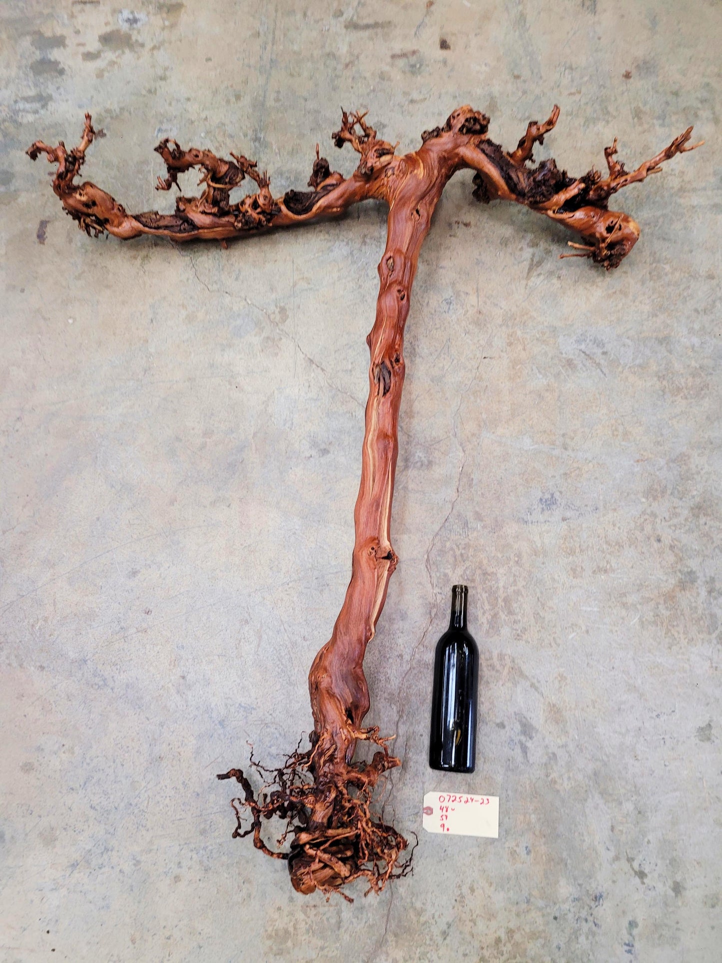 RARE Cakebread Winery Chardonnay Grapevine Vine Art - 100% Recycled + Ready to Ship! 072524-23