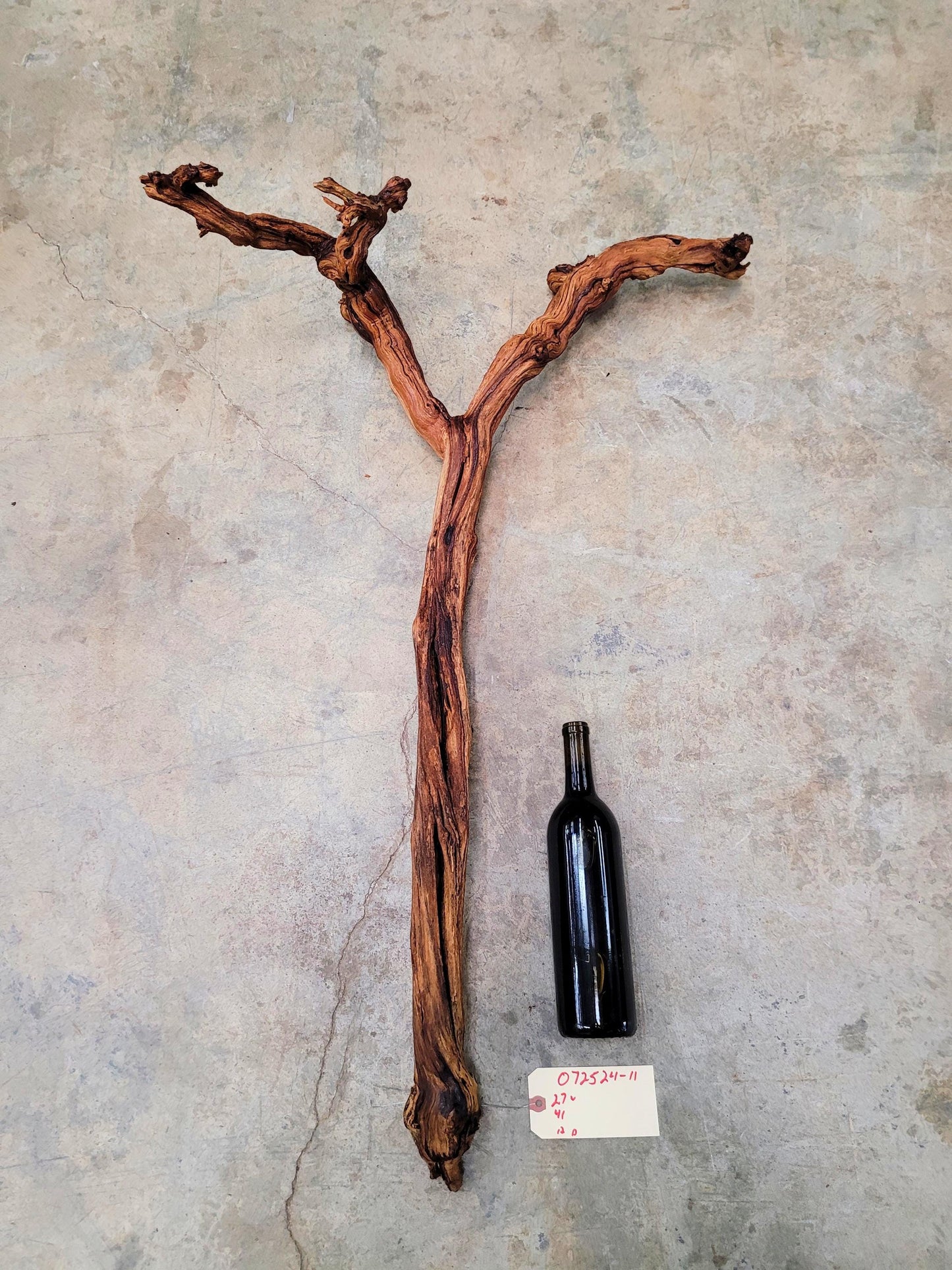 J Lohr Winery retired Cabernet Grape Vine Art - 100% Reclaimed + Ready to Ship! 072524-11