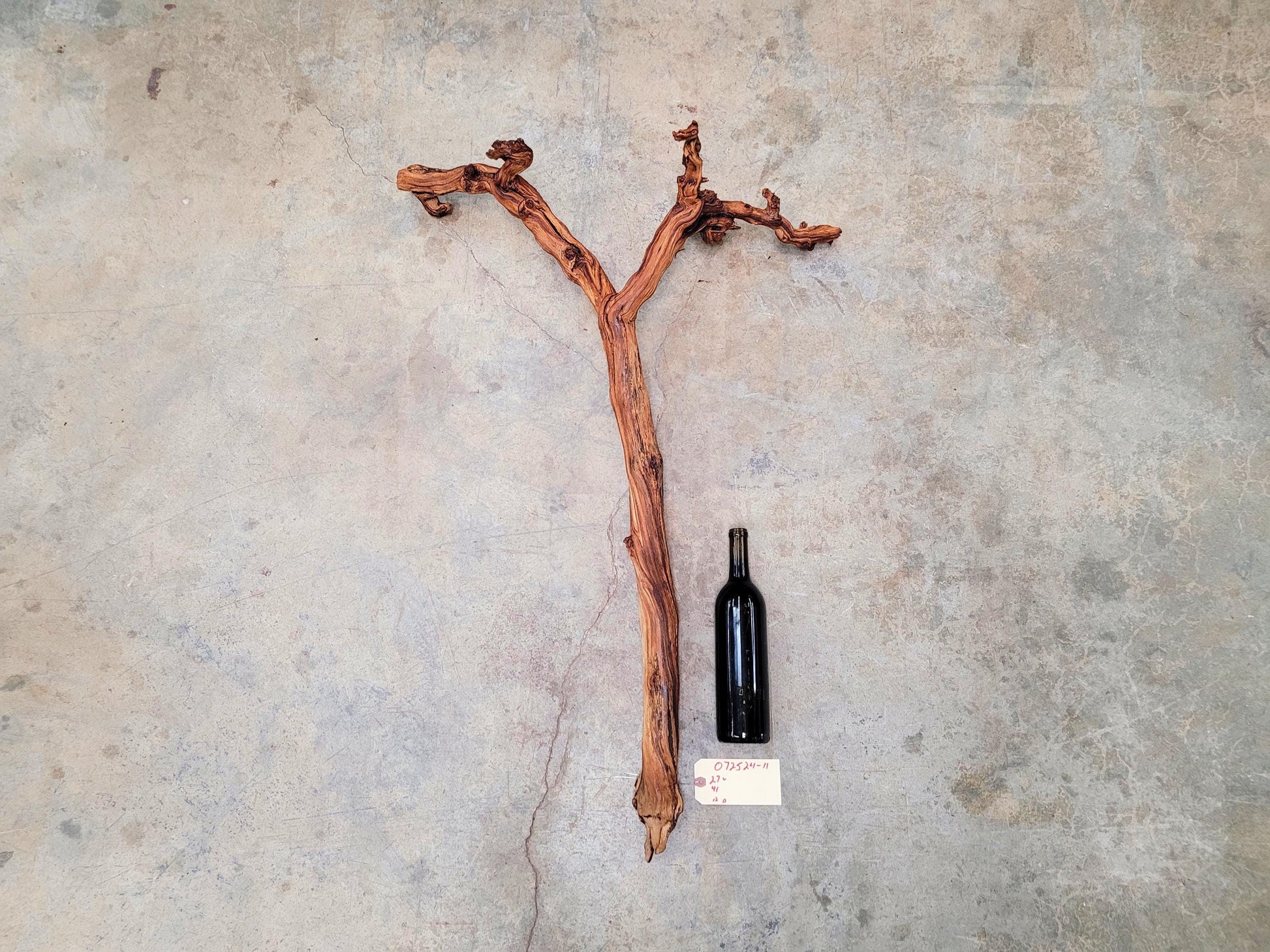 J Lohr Winery retired Cabernet Grape Vine Art - 100% Reclaimed + Ready to Ship! 072524-11